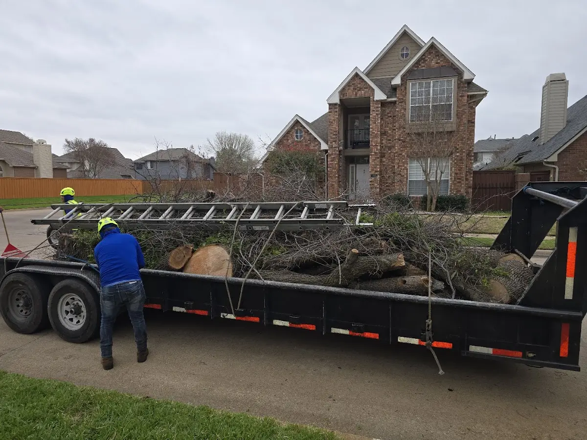 Expert Lot Clearing with proper safety equipment in Ingleside